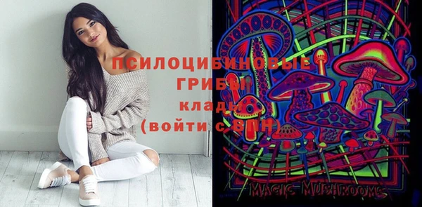 бутират Алзамай