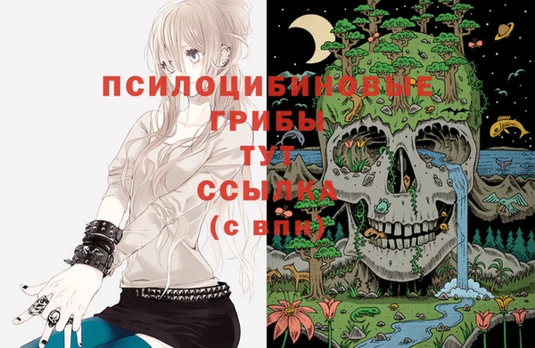бутират Алзамай