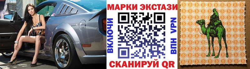 сколько стоит  Новая Ладога  мега ONION  Наркотические марки 1,8мг 