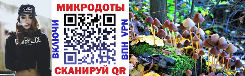 Галлюциногенные грибы ЛСД  Новая Ладога 