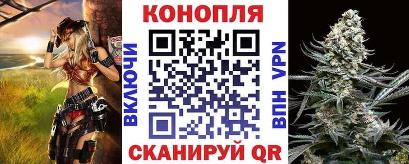 Конопля сатива купить наркотик Новая Ладога